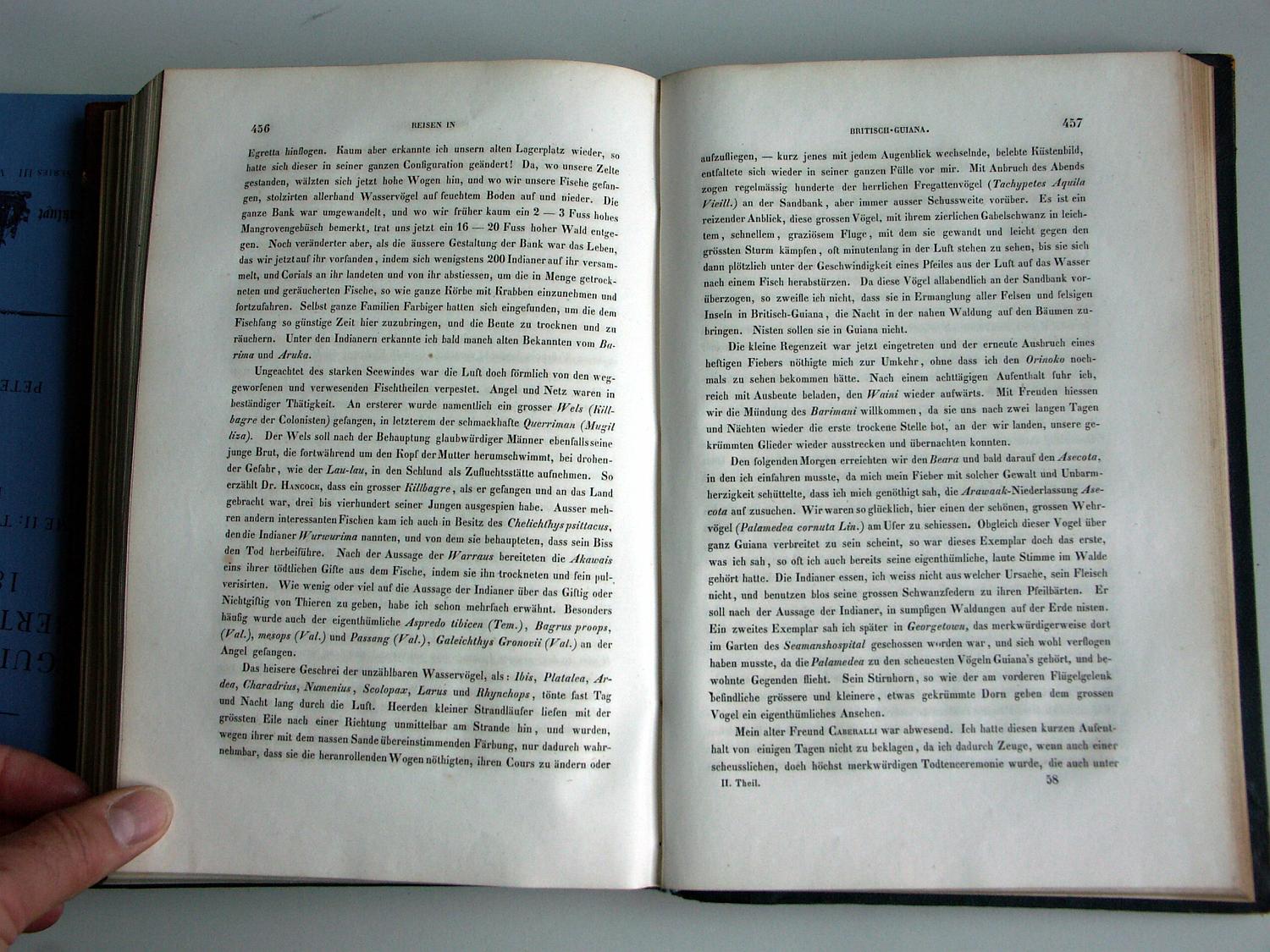 ZZ-RISC48,S.456 Arawak-Dorf Asecota Begräbnis Mariquarri-Fest